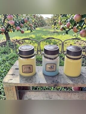 (Lot Of 3) Old Virginia Candle Glass Mason Jar Farm Grown Soy Wax Scented 4.5oz